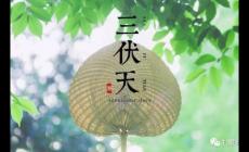 三伏天是幾月幾號2023？今年三伏天時間表2023最細消息