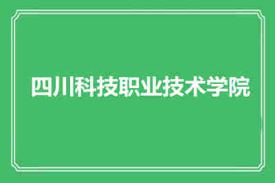 四川科技職業(yè)技術(shù)學(xué)院辦學(xué)特色