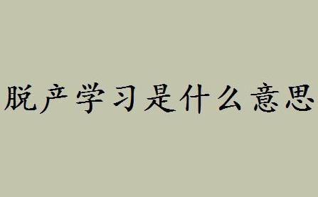 脫產學習是什么意思