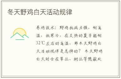 為什么沒人買蘆花雞