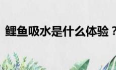 鯉魚吸水是什么體驗(yàn)?鯉魚吸水有多舒服?