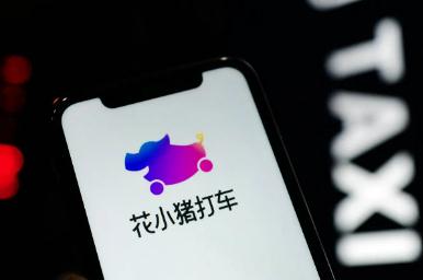 花小豬是哪個旗下的公司app 花小豬是哪個公司旗下的業(yè)務(wù)