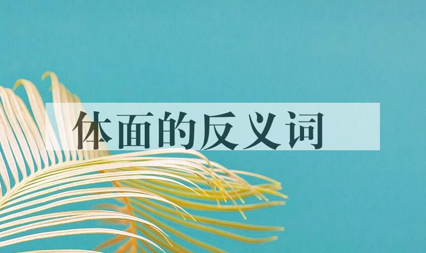 體面的反義詞