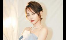 張嘉倪個人資料簡介 中國內地影視女演員