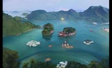 海驢島最佳旅游時(shí)間是幾月份(海驢島最佳旅游時(shí)間介紹)