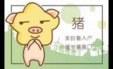 2022年生肖豬上半年的運勢運程好不好