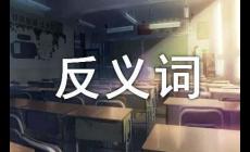 從容的近義詞是什么?從容的近義詞有哪些