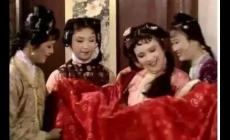 《紅樓夢》中薛寶琴是誰？薛寶琴的結局如何？