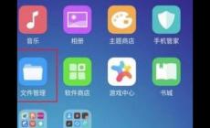應(yīng)用瘦身是什么意思 oppo手機(jī)應(yīng)用瘦身是什么意思?