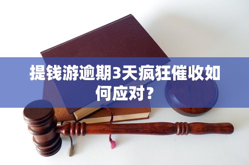 提錢游逾期3天瘋狂催收如何應(yīng)對(duì)？