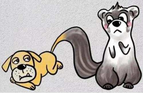 狗尾續(xù)貂的主人公是誰 狗尾續(xù)貂的主人公是誰?