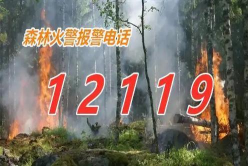 森林火災(zāi)報(bào)警電話是多少？