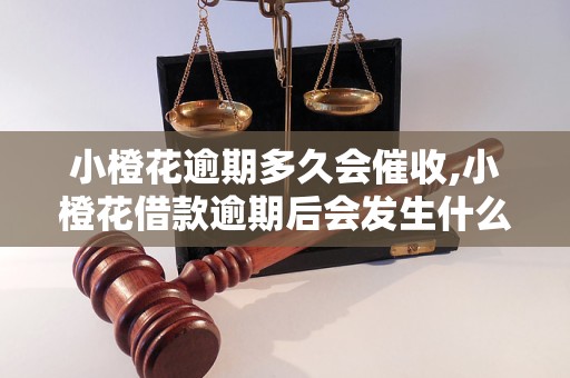 小橙花逾期多久會(huì)催收,小橙花借款逾期后會(huì)發(fā)生什么