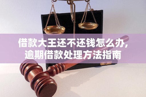 借款大王還不還錢怎么辦,逾期借款處理方法指南