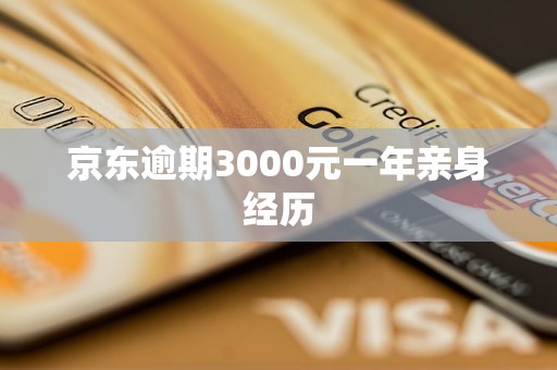 京東逾期3000元一年親身經歷