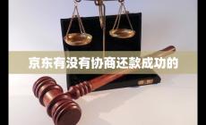 京東金融有沒(méi)有協(xié)商還款成功的