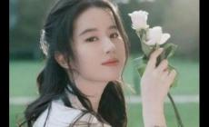劉亦菲憑一部劇帶火了5個人，怎么回事？