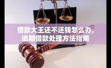 借款大王無法按時還款怎么辦？逾期借款處理指南