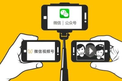 微信id號(hào)怎么查找到人的信息（微信id號(hào)怎么查找到人）