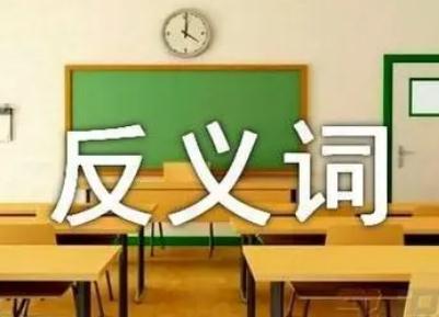 關(guān)心的反義詞