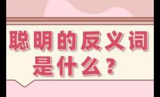 聰明的反義詞有哪些 聰明的反義詞是什么