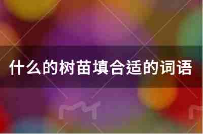什么的樹(shù)苗填合適的詞語(yǔ)有哪些