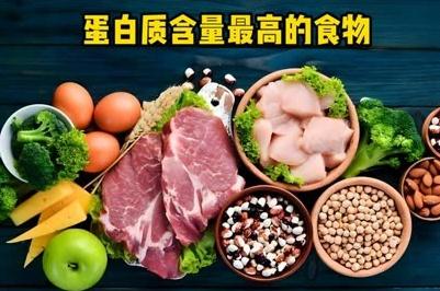 蛋白質(zhì)高的食物有哪些