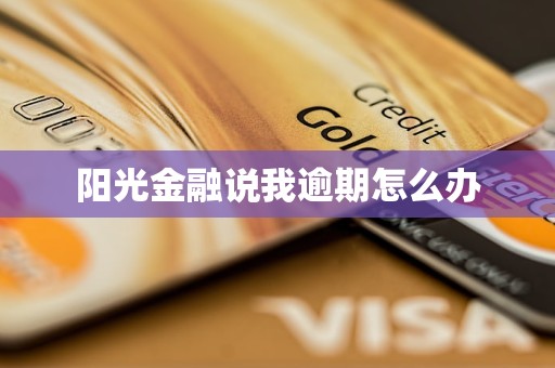 陽(yáng)光金融說(shuō)我逾期怎么辦