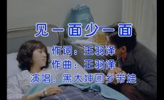 也許一個轉身一輩子都不見是什么歌