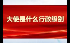 大使是什么行政級別的官職 大使的行政級別