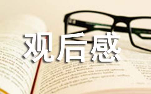 中國乒乓 電影觀后感800字