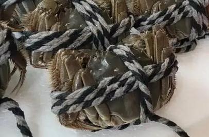 女子網(wǎng)上9.9元買了一箱“大閘蟹”