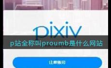 p站網址是什么？pubhorn的官網地址是多少？