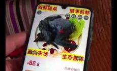 88元網購的4只烏雞洗出一盆黑水，品質被消費者質疑