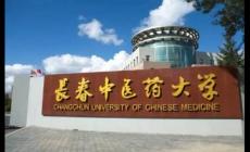 長(zhǎng)春中醫(yī)藥大學(xué)代碼是多少