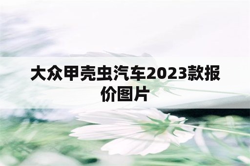 大眾甲殼蟲(chóng)汽車2023款報(bào)價(jià)圖片 - 私寵百克 