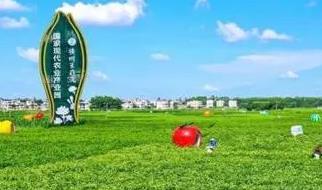 中國茉莉花之鄉(xiāng)是什么地方 中國的茉莉花之鄉(xiāng)在哪里啊