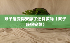 雙子座安靜嗎?當(dāng)雙子座變得安靜了還有救嗎?