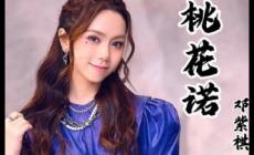 鄧紫棋桃花諾歌詞完整版 桃花諾歌詞表達的意思介紹