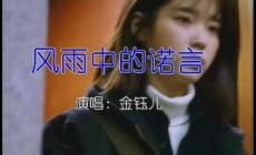 金鈺兒歌曲風(fēng)中的諾言歌詞 金鈺兒個(gè)人資料