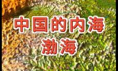渤海是我國最大的內海對嗎？