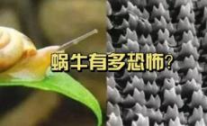 牙齒最多的動物是什么,牙齒最多的動物是什么動物
