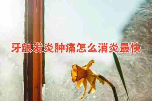 牙齦發(fā)炎腫痛怎么消炎最快