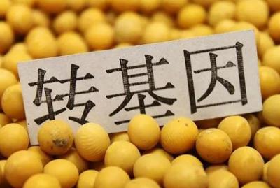 轉基因對身體有害嗎？三個轉基因危害害處盤點
