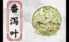 長期便秘喝番瀉葉好嗎 我已經(jīng)喝番瀉葉14年了