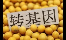 轉(zhuǎn)基因?qū)ι眢w有害嗎?三個轉(zhuǎn)基因危害害處盤點