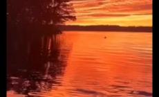 我偷了黃昏的酒全詩(shī)作者是誰(shuí) 我偷了黃昏的酒全詩(shī)