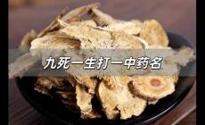 九死一生打一中藥名 九死一生打一中藥名字