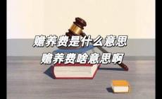 贍養(yǎng)費是什么意思 贍養(yǎng)費啥意思啊