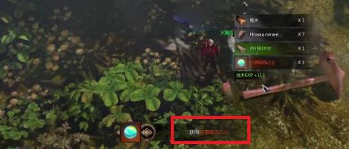 失落的方舟希里安好感度任務怎么做 失落的方舟希里安好感度任務怎么做